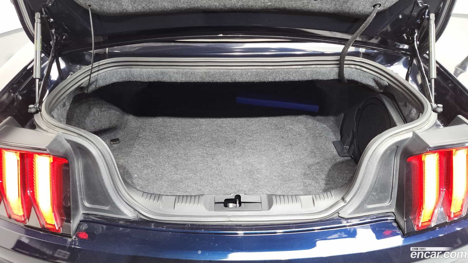Mustang Ford 2021.3-OPTION-022