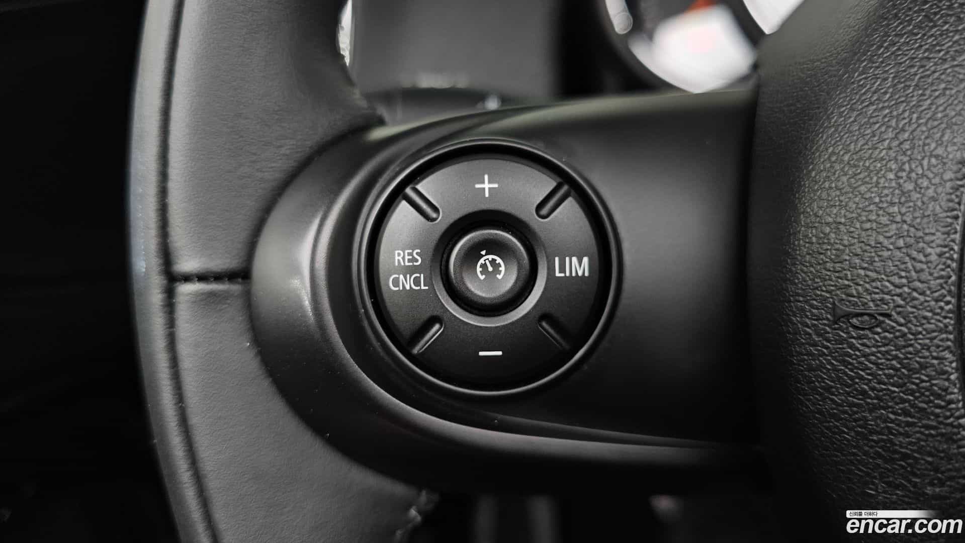 Countryman Mini 2019.8-OPTION-019