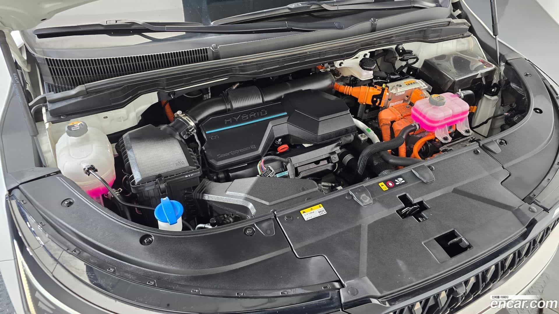 Canival Kia 2024.9-OUTER-006