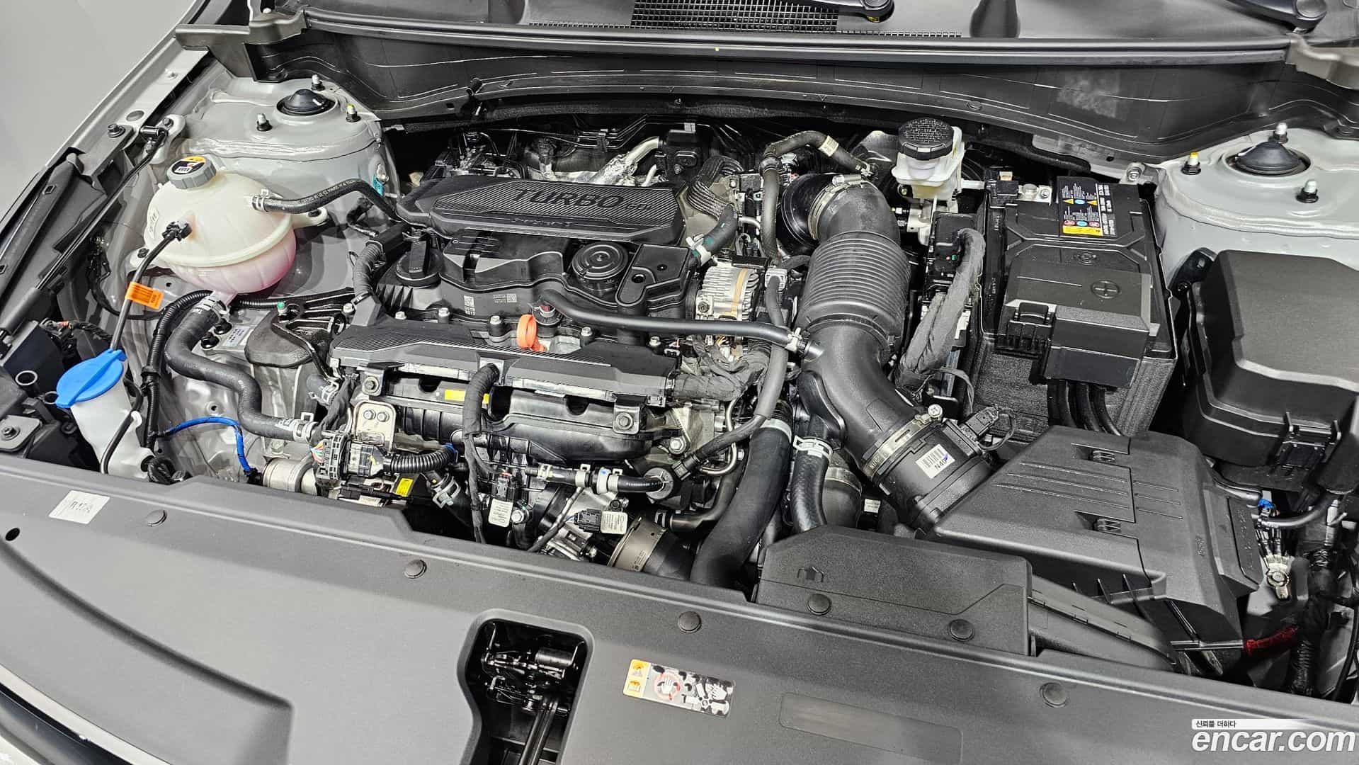 Sportage Kia 2025.8-OUTER-006
