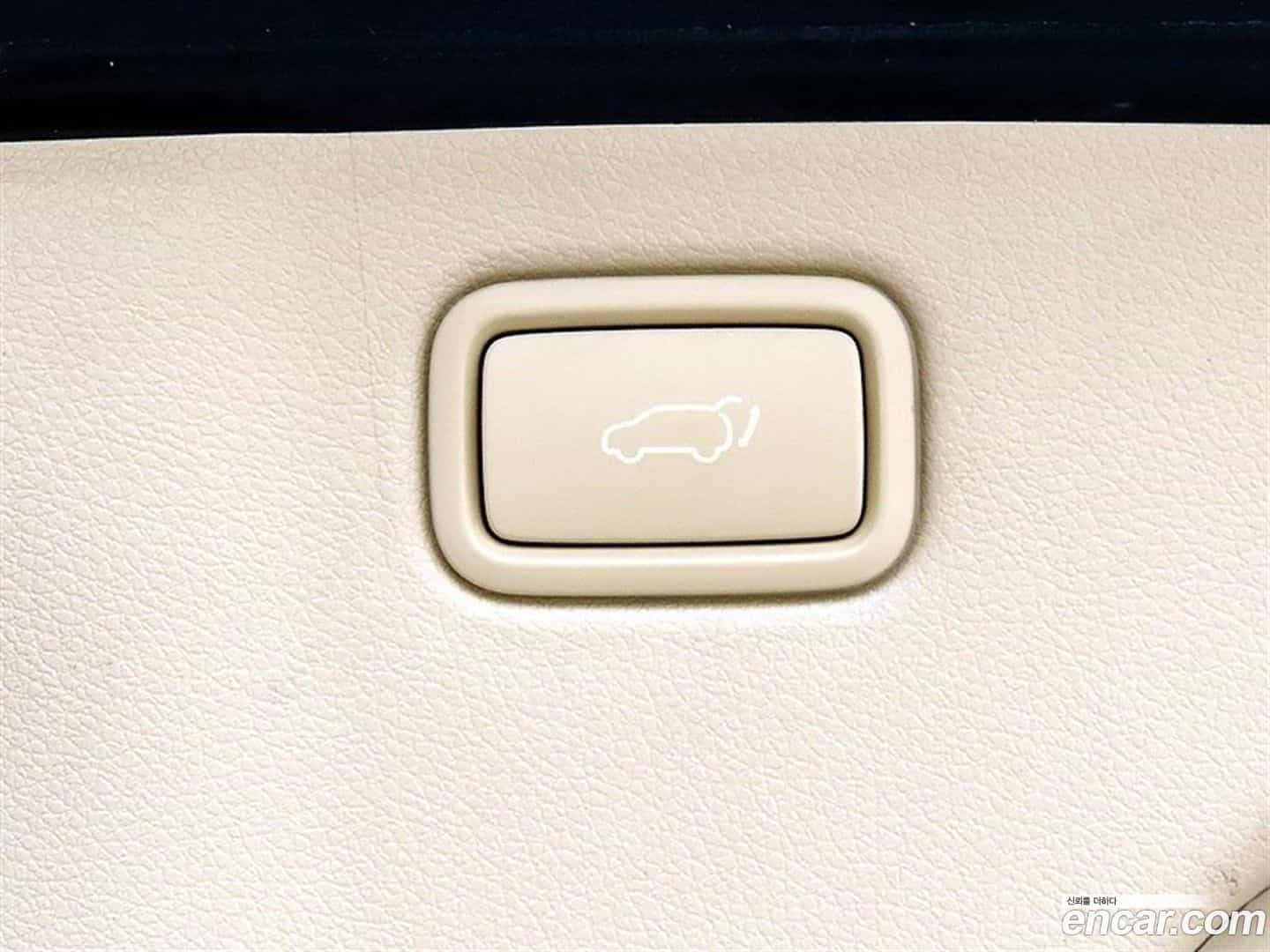 Canival Kia 2019.10-OPTION-022