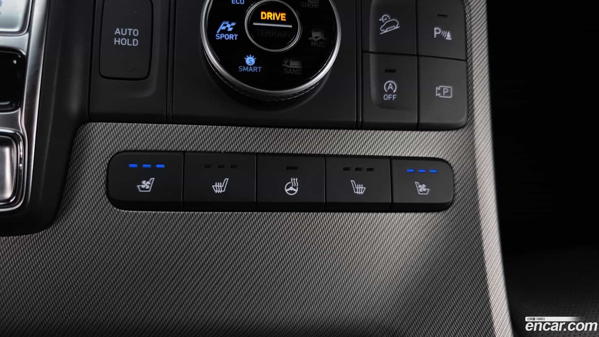 Palisade Hyundai 2022.4-OPTION-021