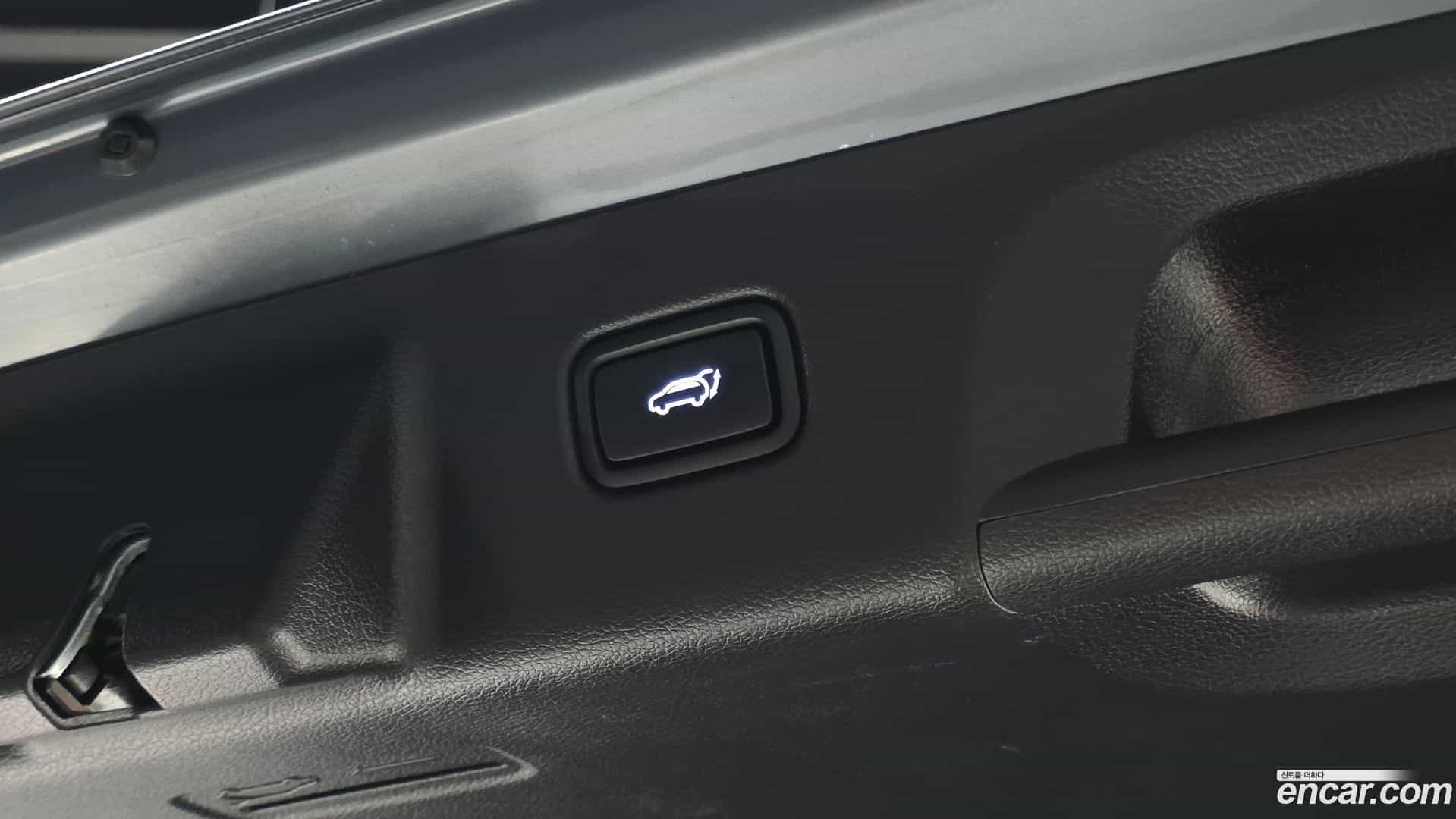 Palisade Hyundai 2024.6-OPTION-022