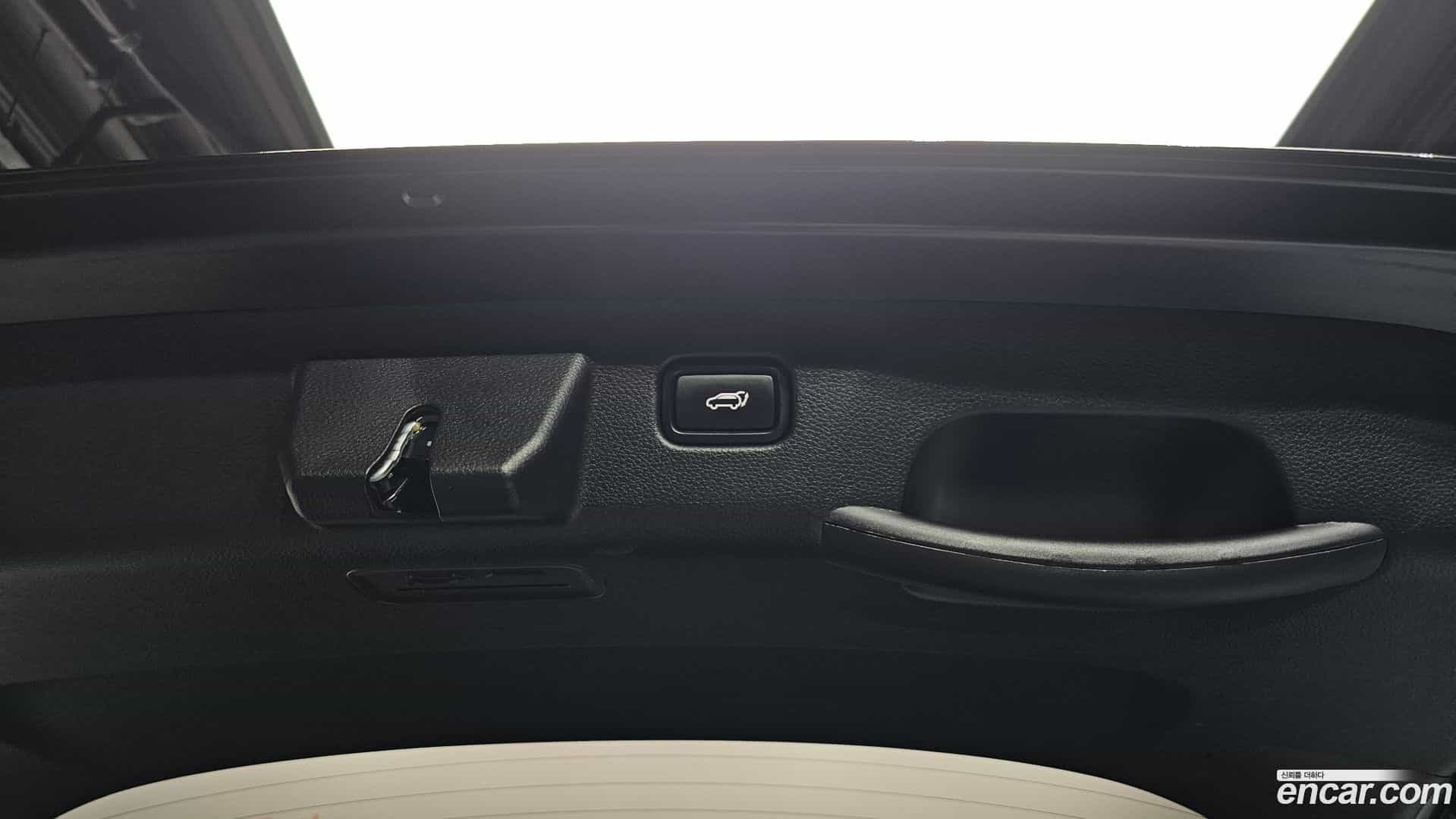 Seltos Kia 2023.6-OPTION-024