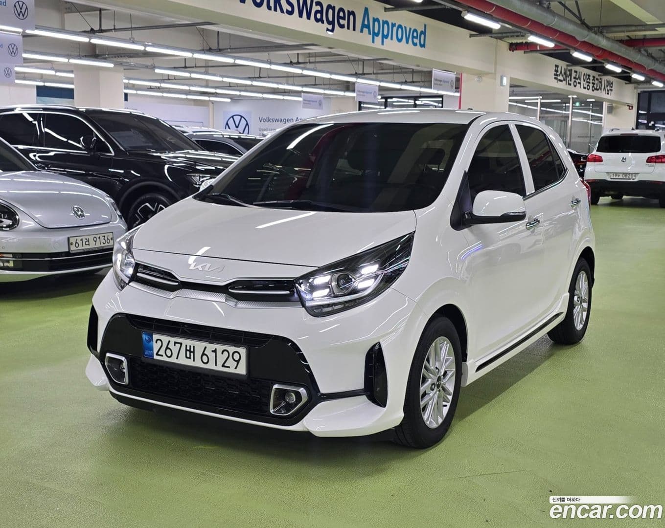 Main__Slider__Photo:morning Kia 2021.11-0