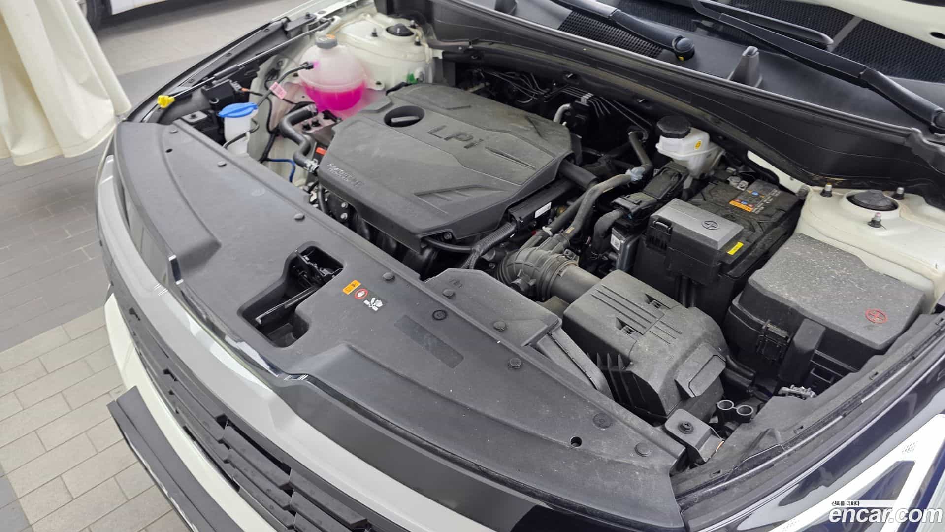 Sportage Kia 2024.11-OUTER-006
