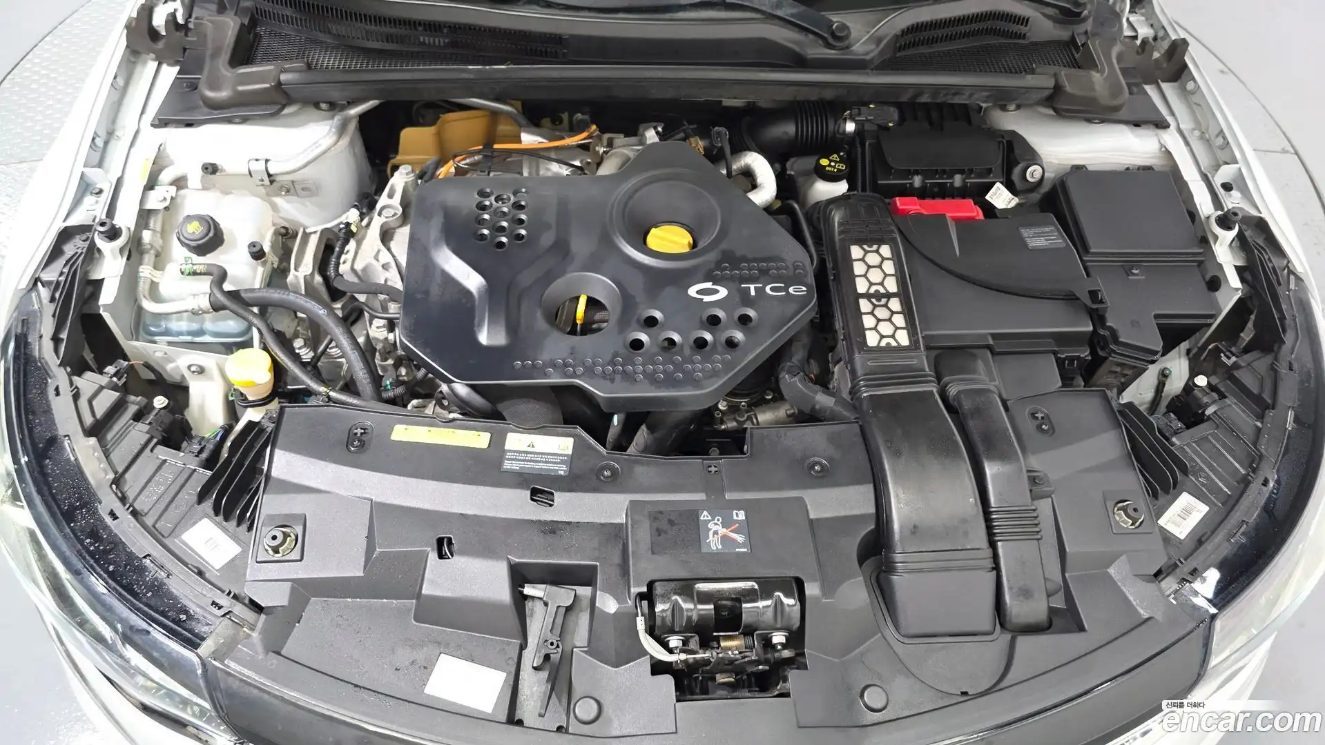 SM6 Renault Korea 2016.6-OUTER-006