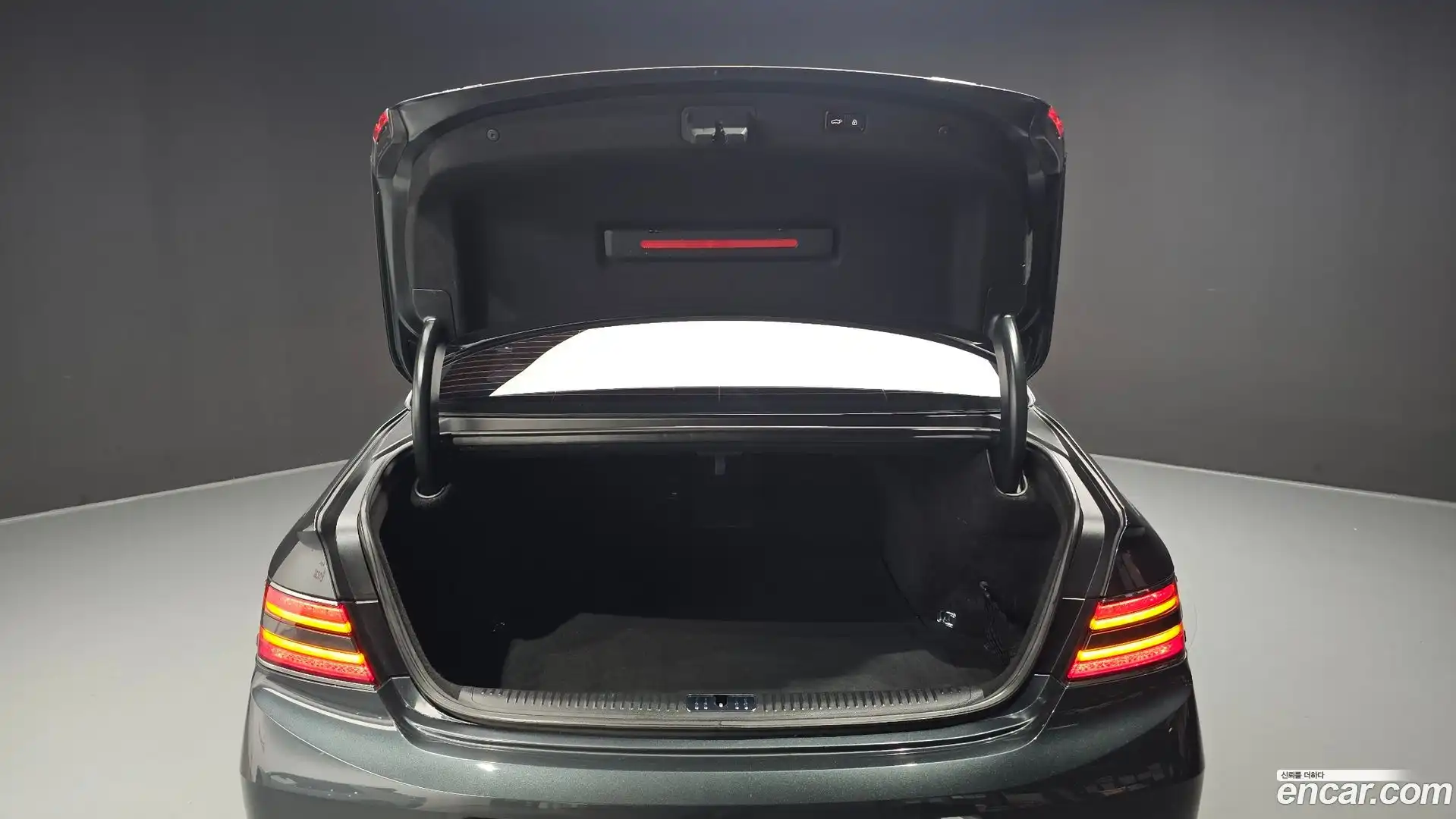 G90 Genesis 2019.4-OPTION-024