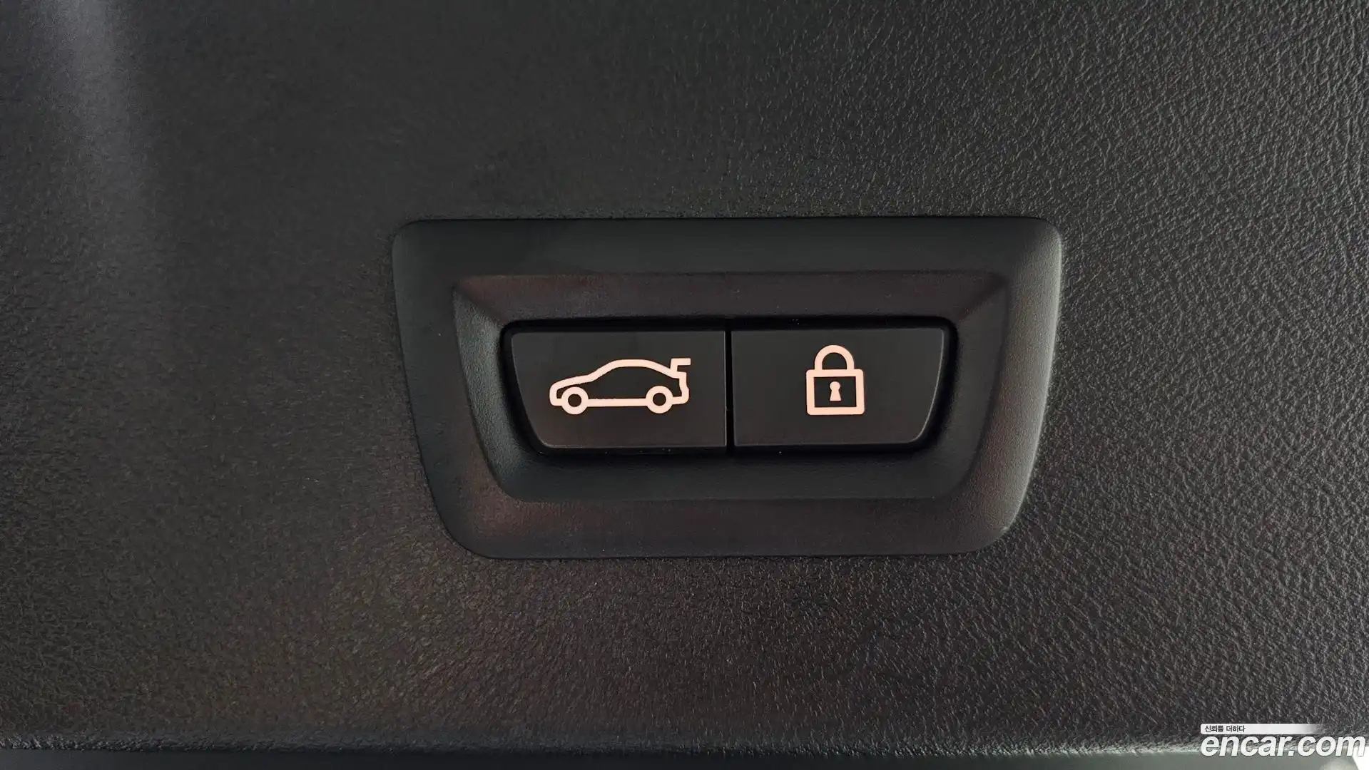 X4 BMW 2022.1-OPTION-022
