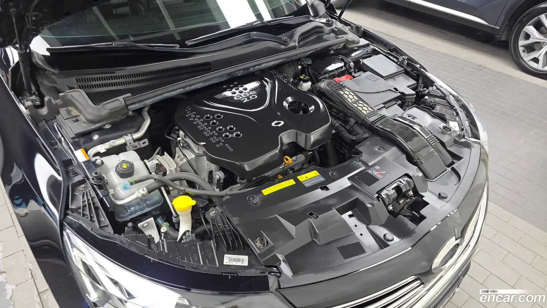 SM6 Renault Korea 2020.4-OUTER-006