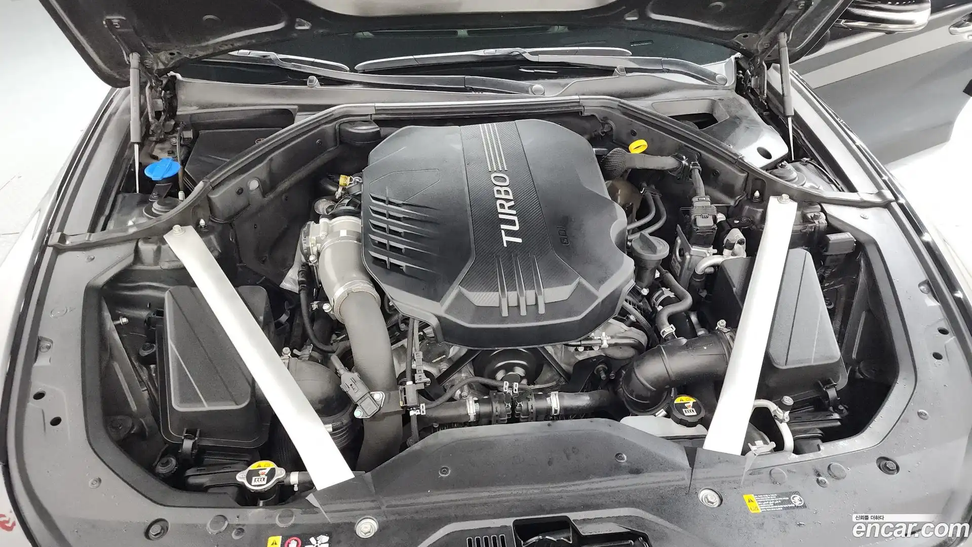 G70 Genesis 2019.8-OUTER-006