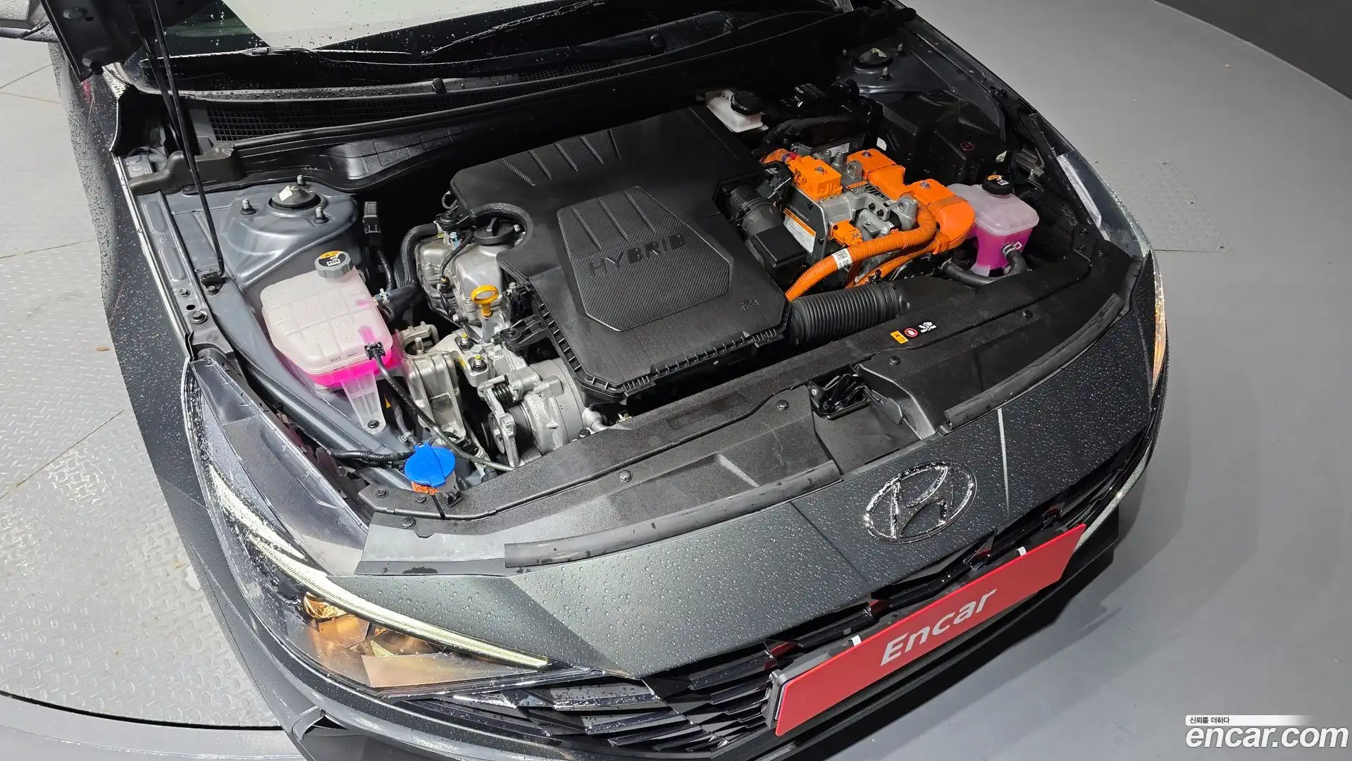 AVANTE Hyundai 2022.5-OUTER-006