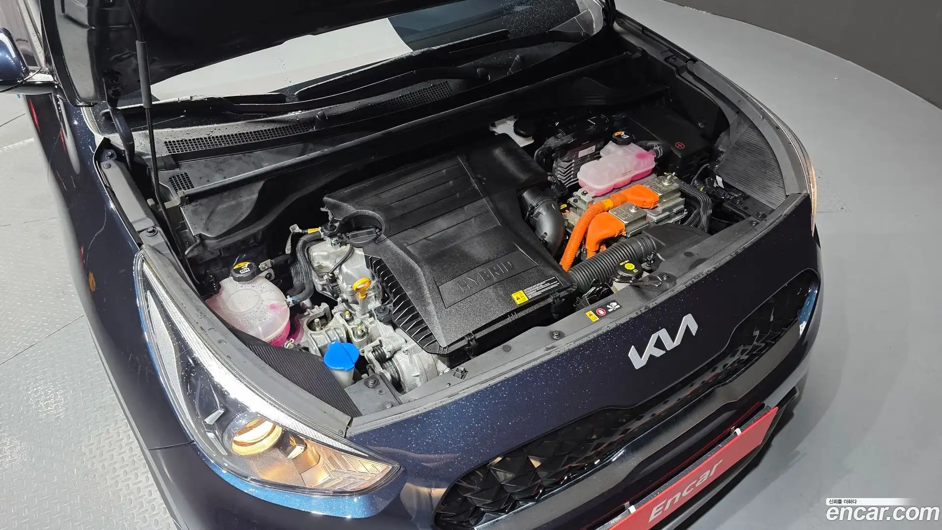 Niro Kia 2021.9-OUTER-006