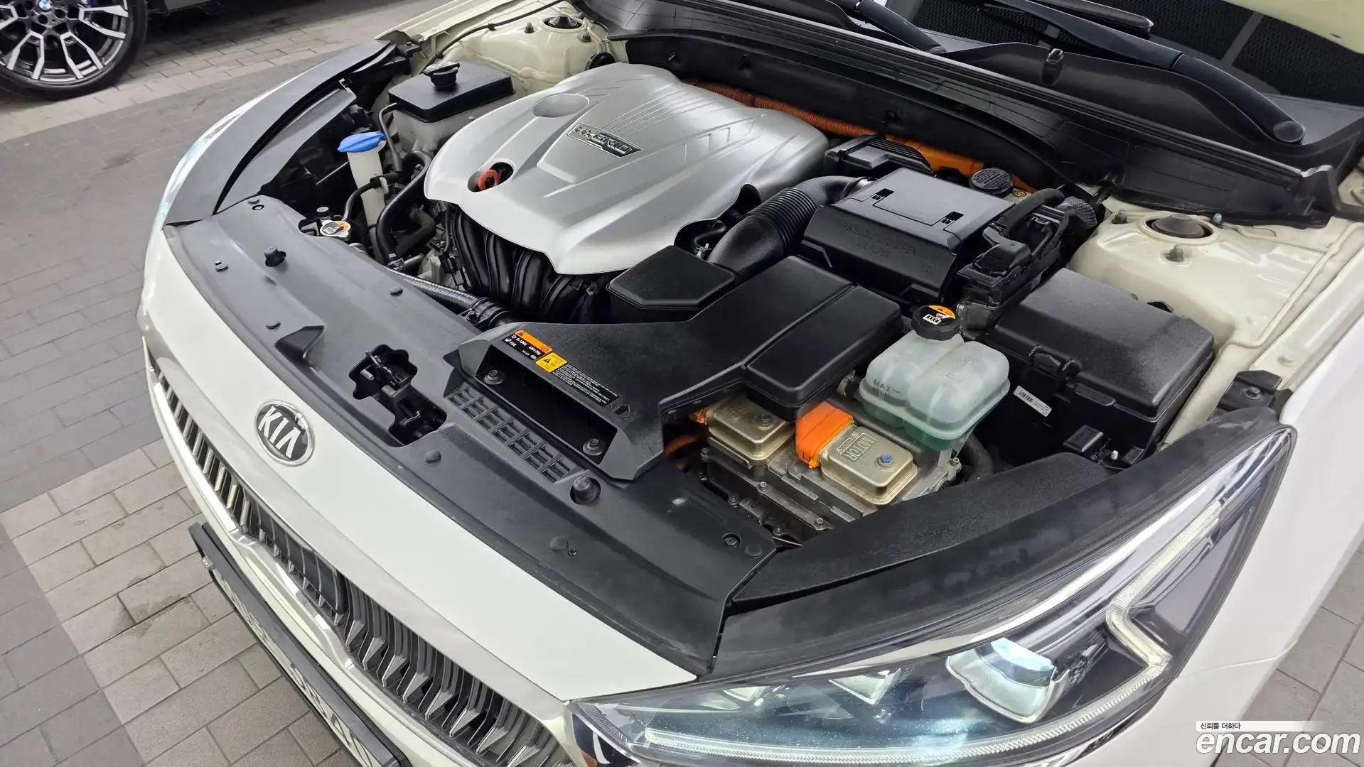 K7 Kia 2019.3-OUTER-006