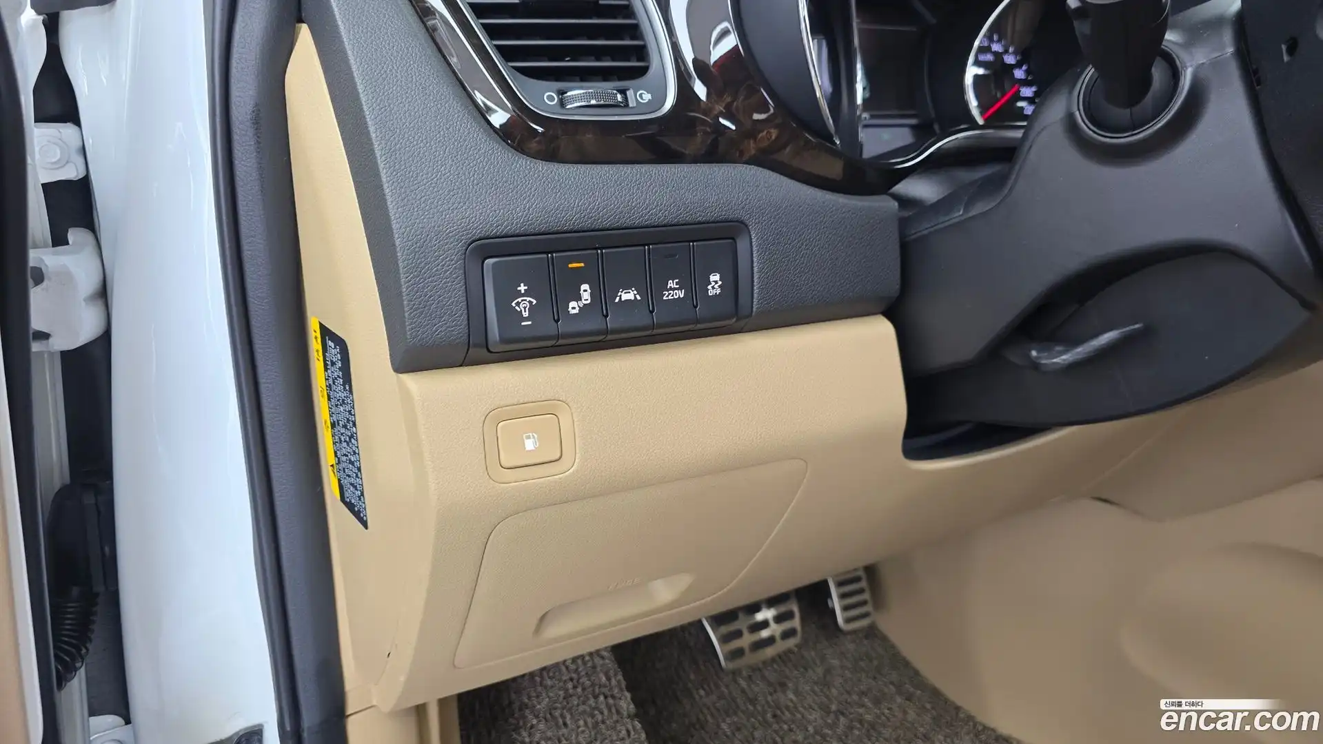 Canival Kia 2018.9-OPTION-019