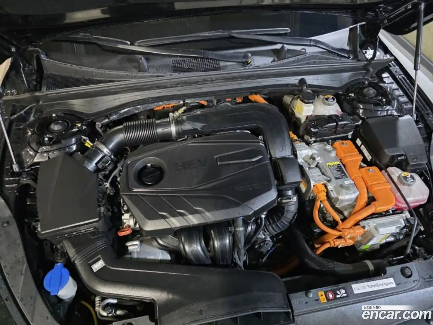 K5 Kia 2023.11-OPTION-023