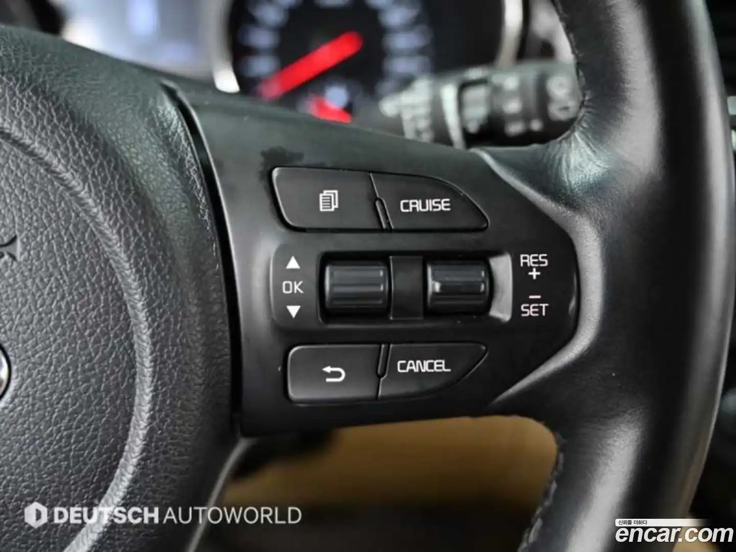 Canival Kia 2018.9-OPTION-022