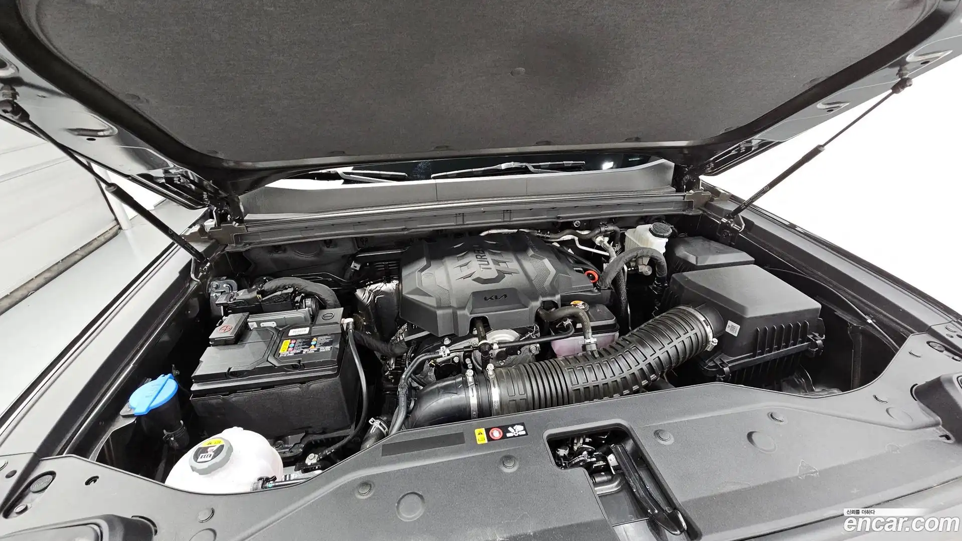 Tasman Kia 2025.6-OUTER-006