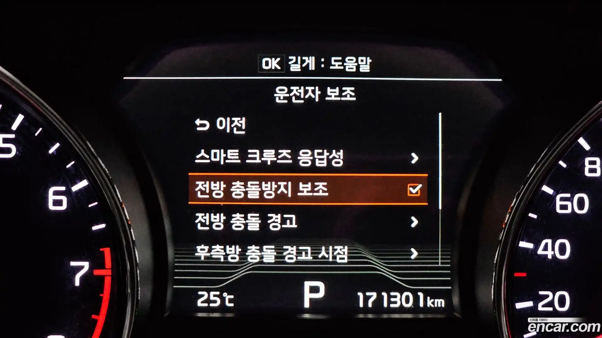 Canival Kia 2018.4-OPTION-020