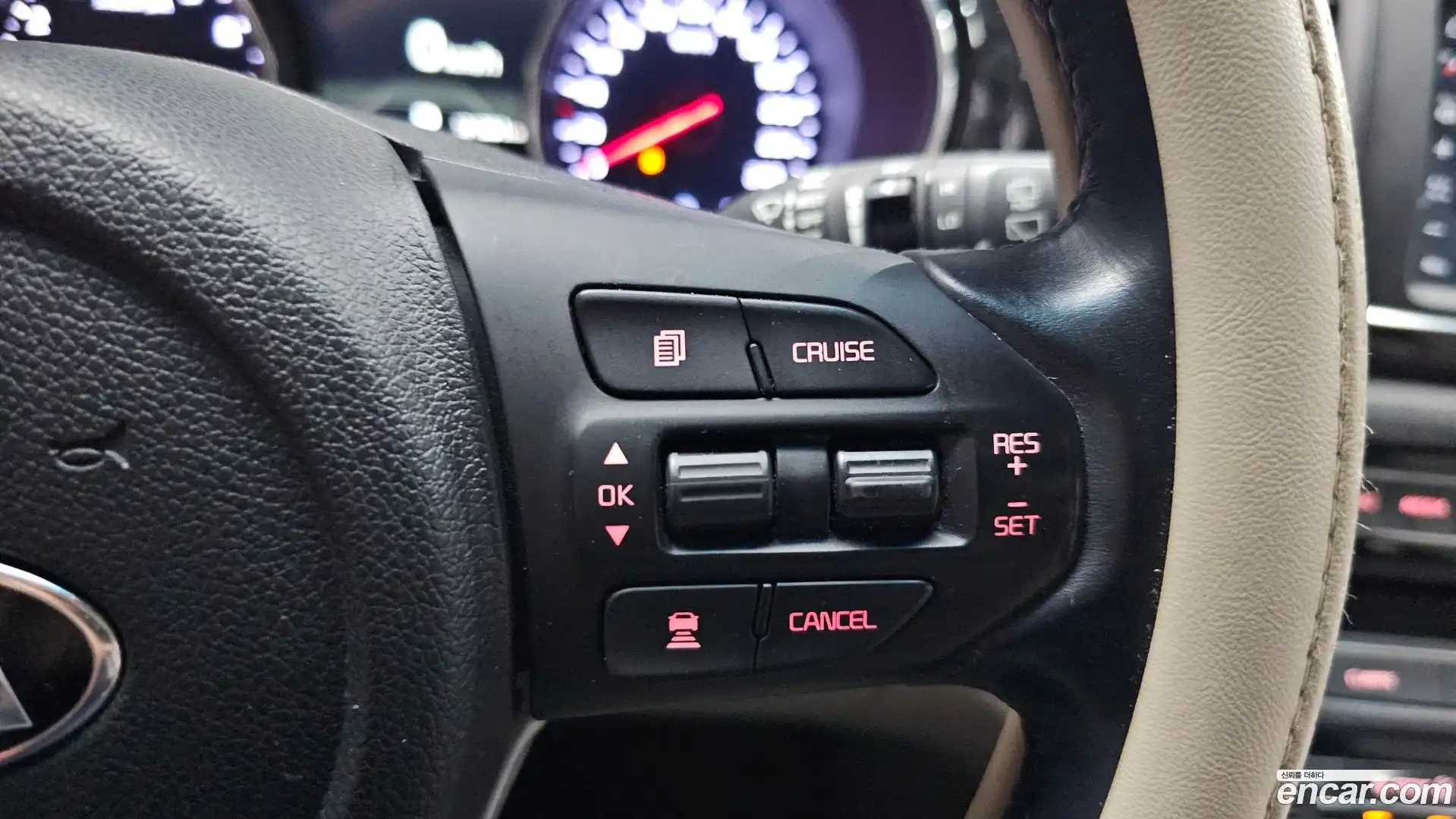 Canival Kia 2018.4-OPTION-021