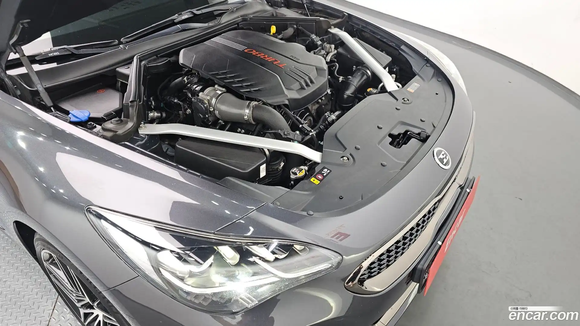 Stinger Kia 2018.6-OUTER-006