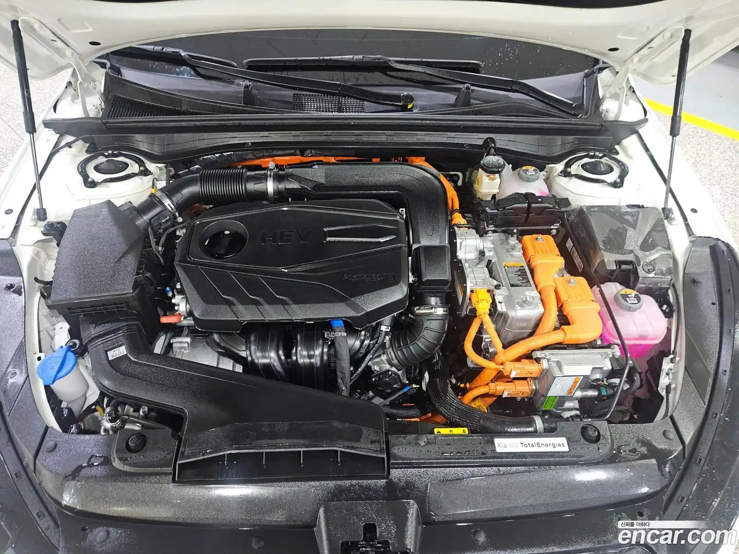 K5 Kia 2025.5-OPTION-024