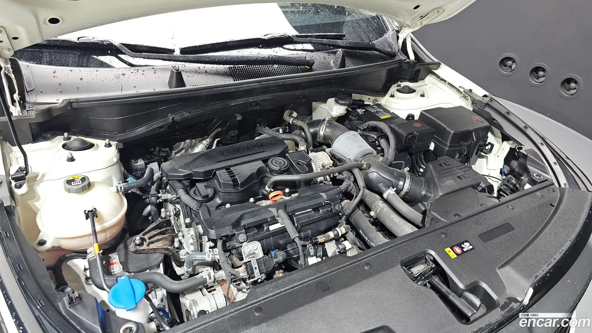 Sportage Kia 2021.8-OUTER-006