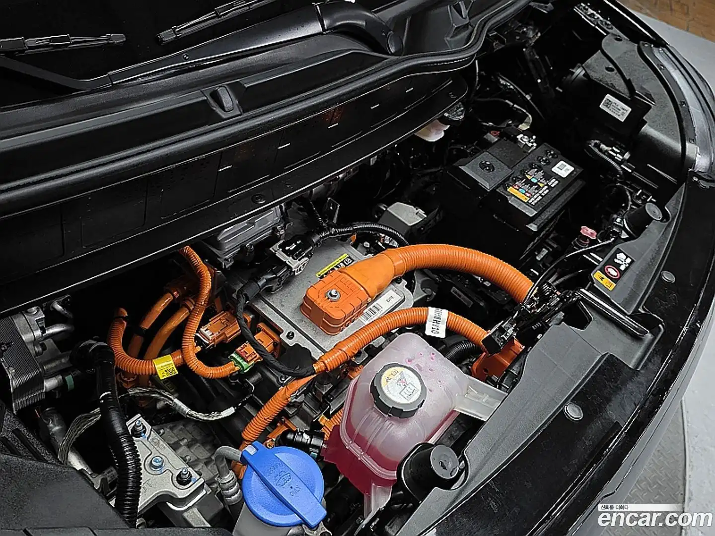 RAY Kia 2024.4-INNER-008