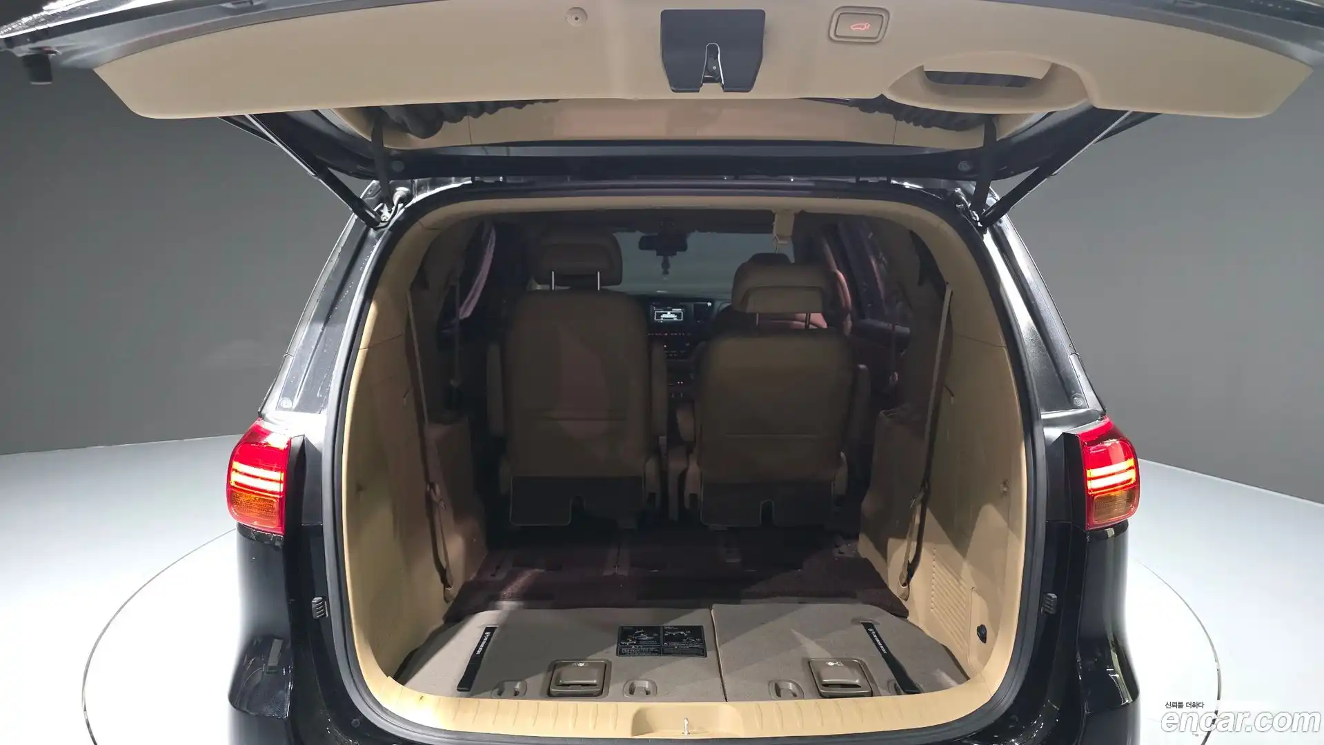 Canival Kia 2017.7-OPTION-024