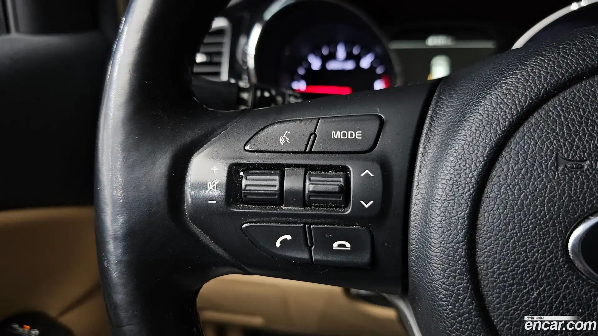 Canival Kia 2019.8-OPTION-018