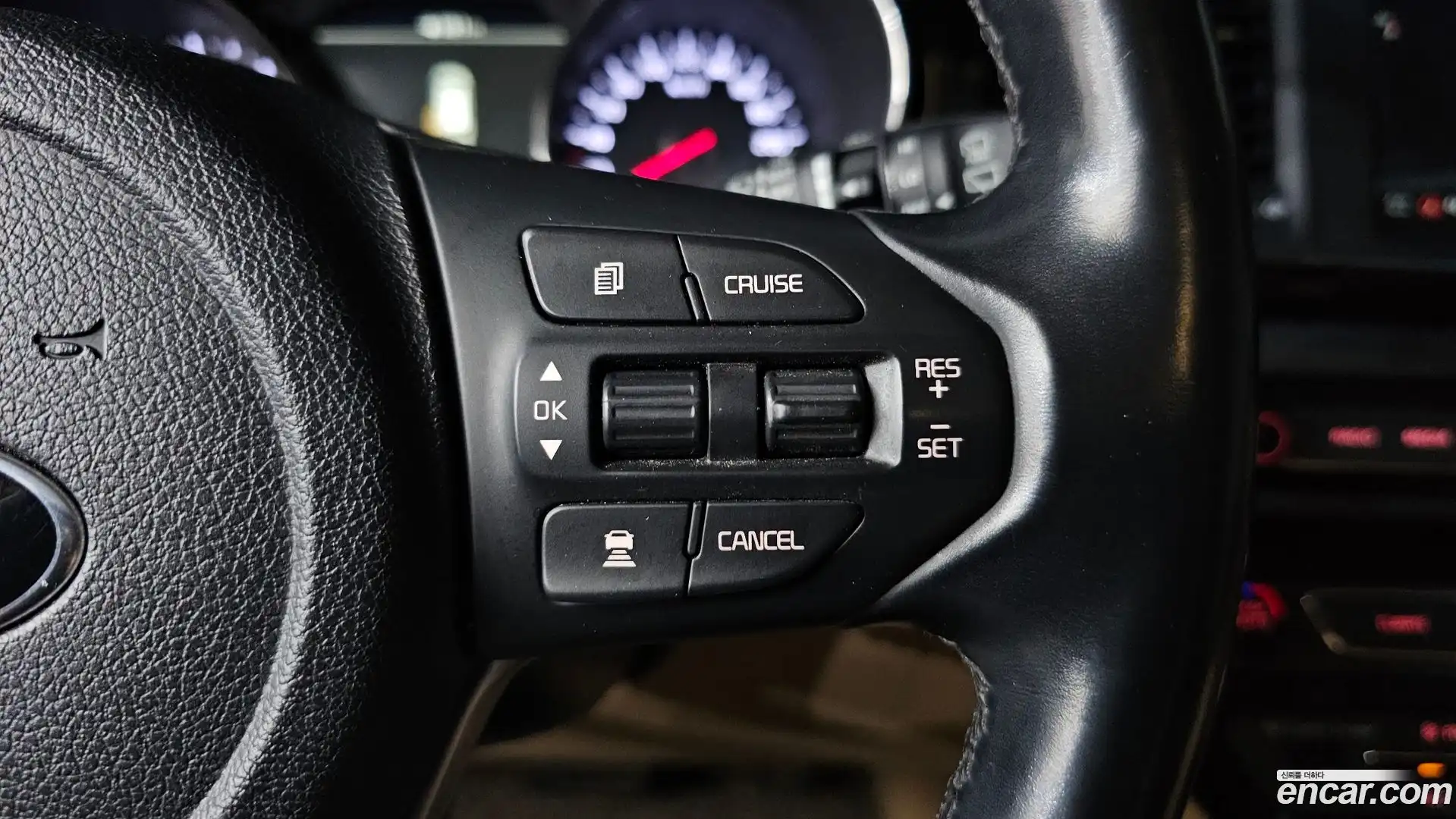 Canival Kia 2019.8-OPTION-019