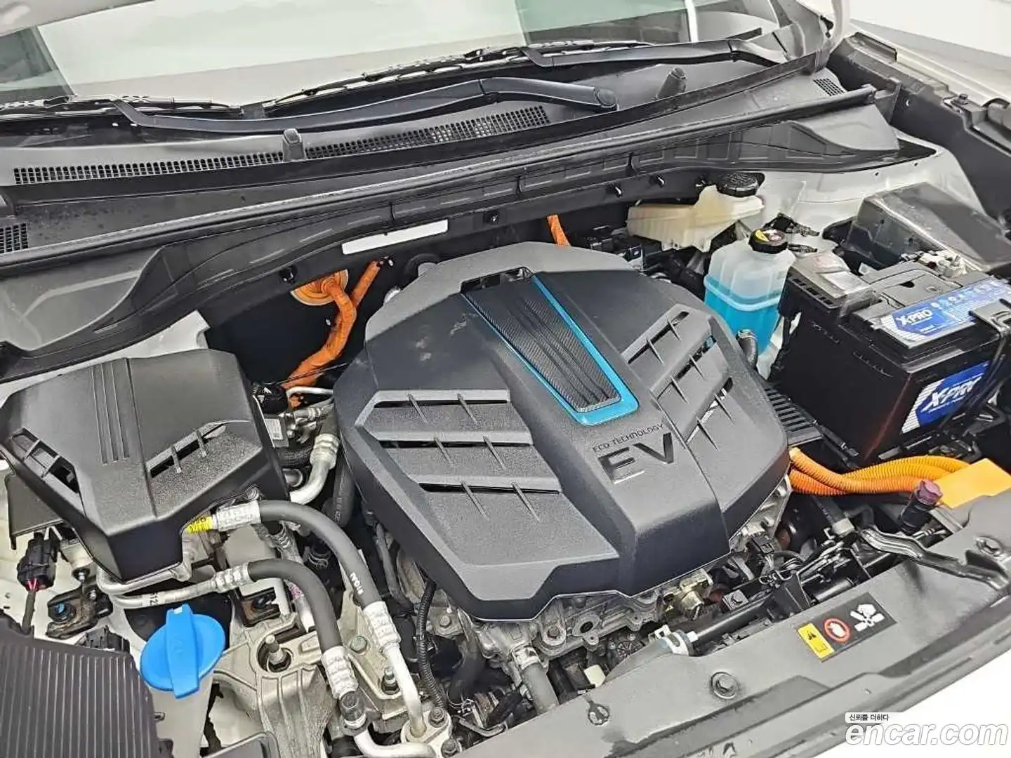 Niro Kia 2022.9-OUTER-005