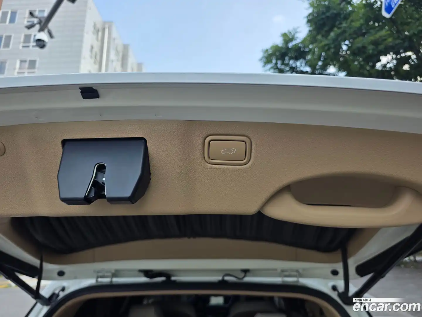Canival Kia 2019.4-INNER-008
