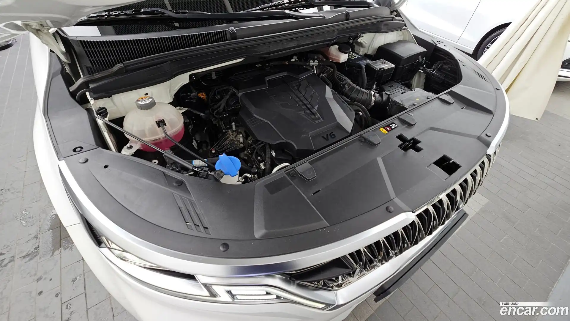 Canival Kia 2021.5-OUTER-006