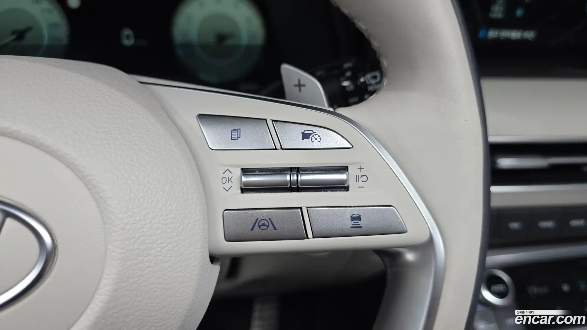 Palisade Hyundai 2023.4-OPTION-021