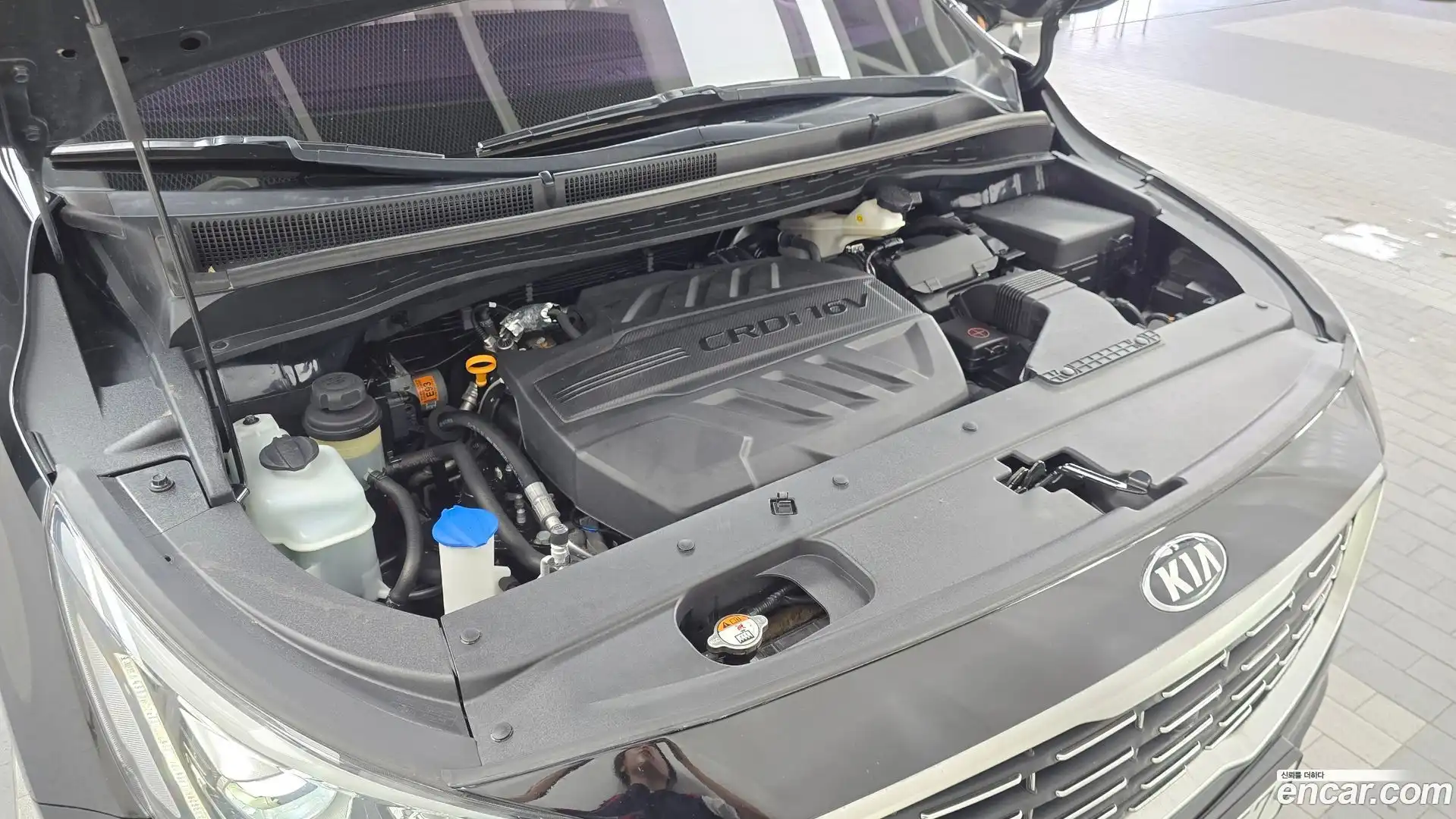 Canival Kia 2019.1-OUTER-006