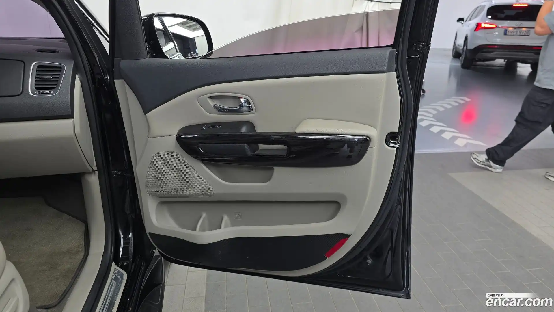 Canival Kia 2019.1-INNER-035