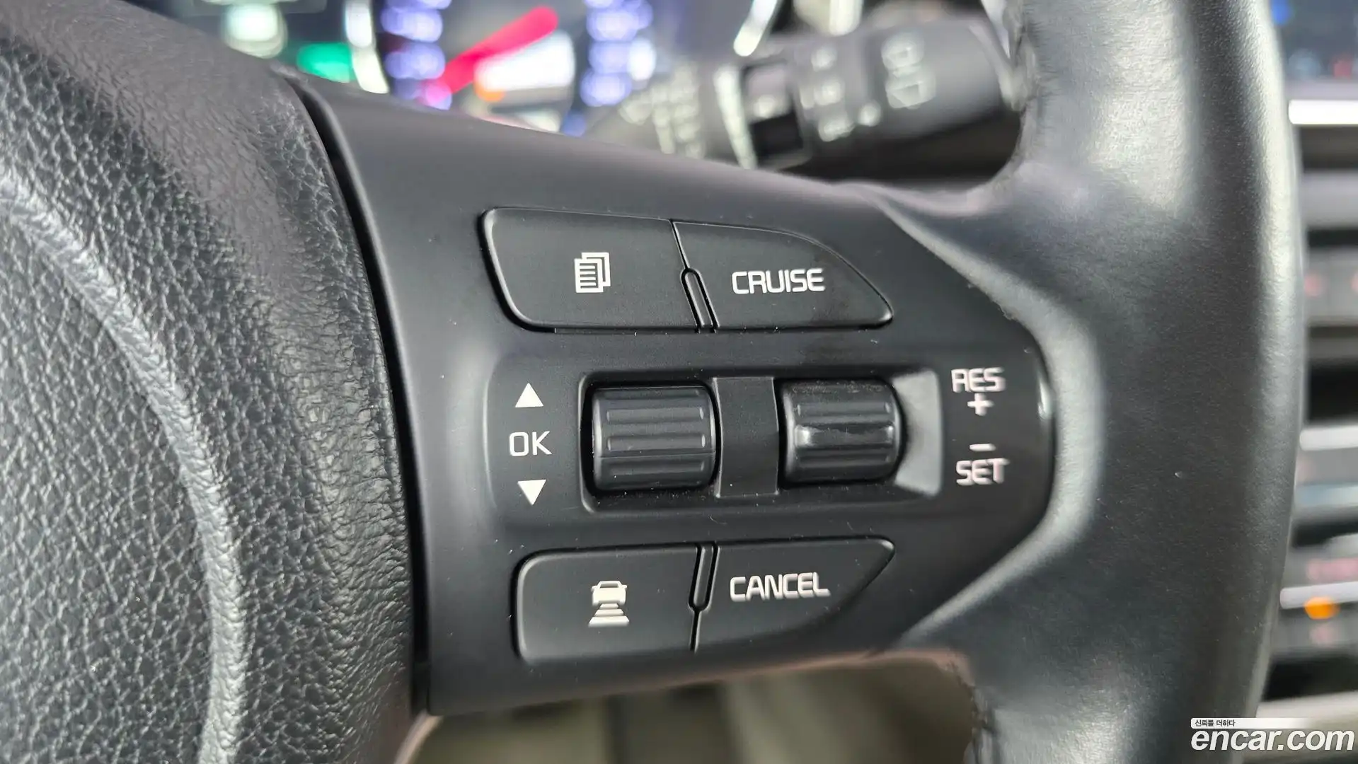 Canival Kia 2019.1-OPTION-042