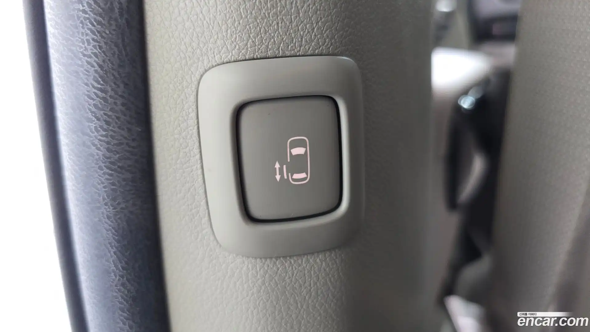 Canival Kia 2020.3-OPTION-040