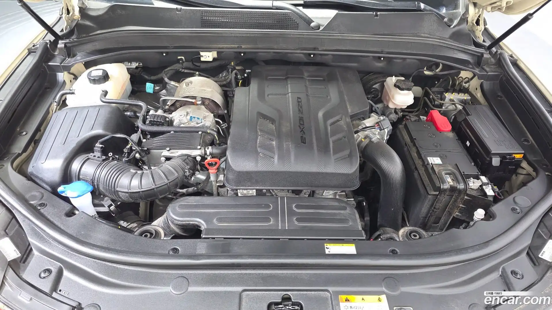 Rexton KG Mobility 2024.6-OUTER-006