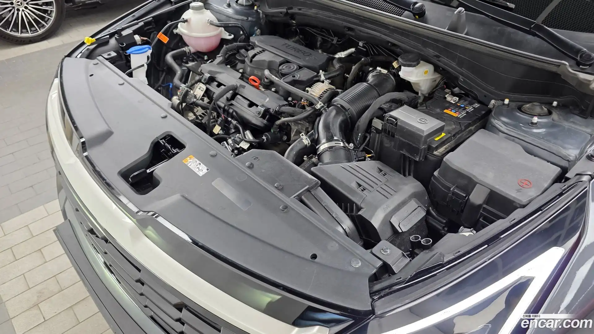Sportage Kia 2025.0-OUTER-006