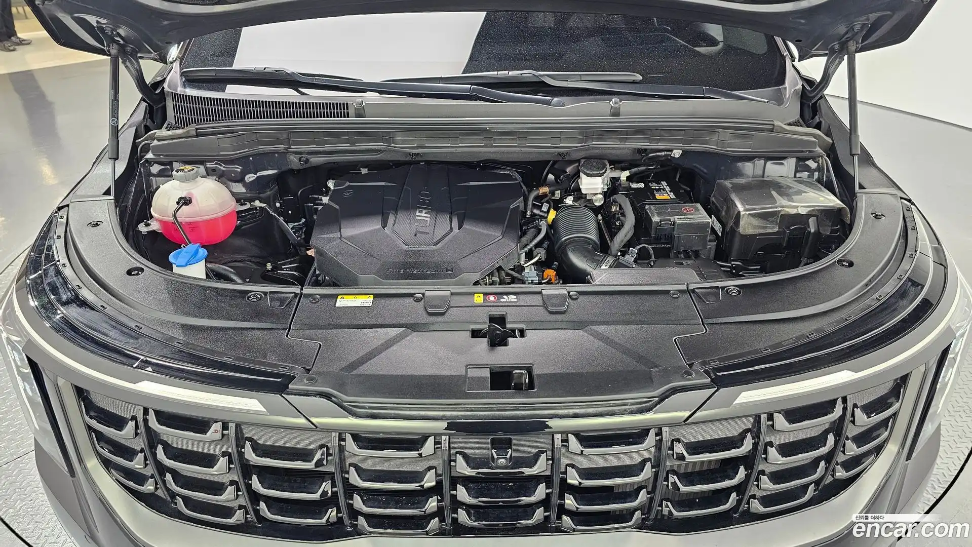 Canival Kia 2024.5-OUTER-006