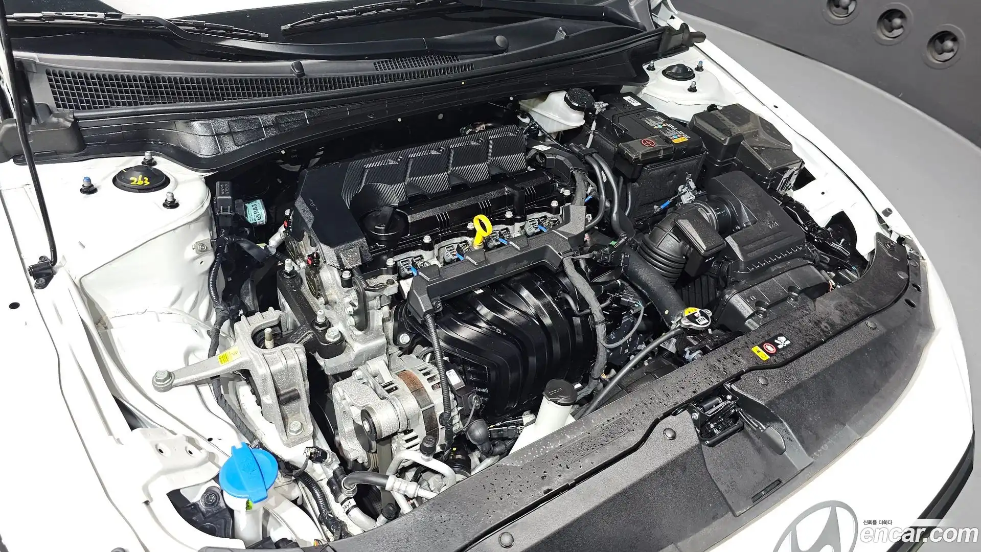 AVANTE Hyundai 2024.9-OUTER-006