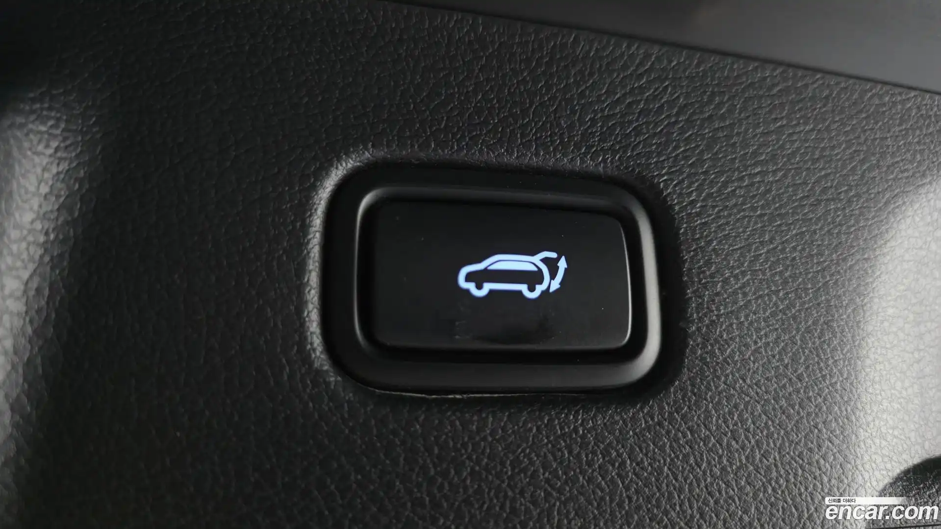 Palisade Hyundai 2019.1-OPTION-021