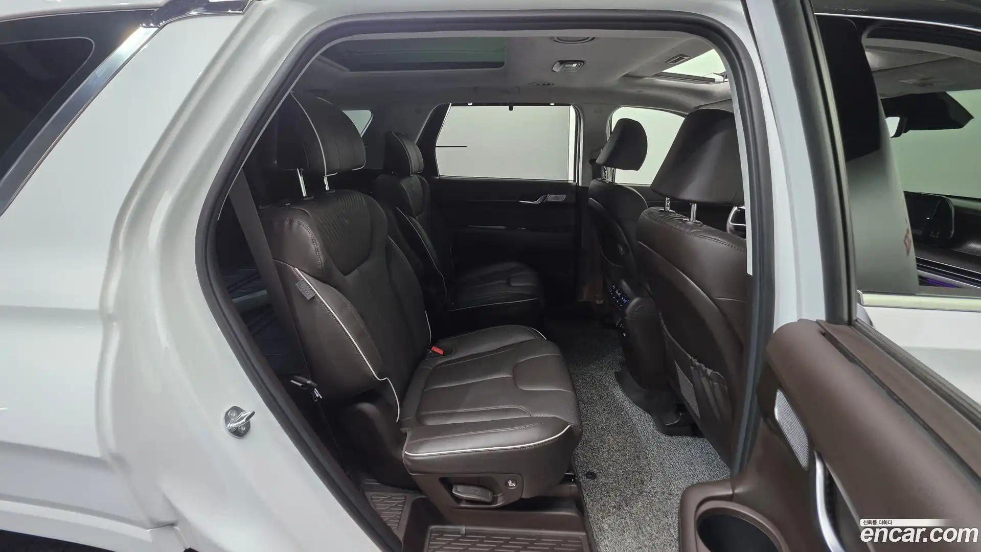 Palisade Hyundai 2024.7-OPTION-021