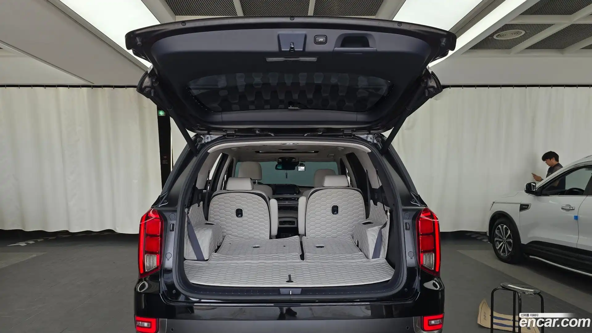 Palisade Hyundai 2019.5-OPTION-024