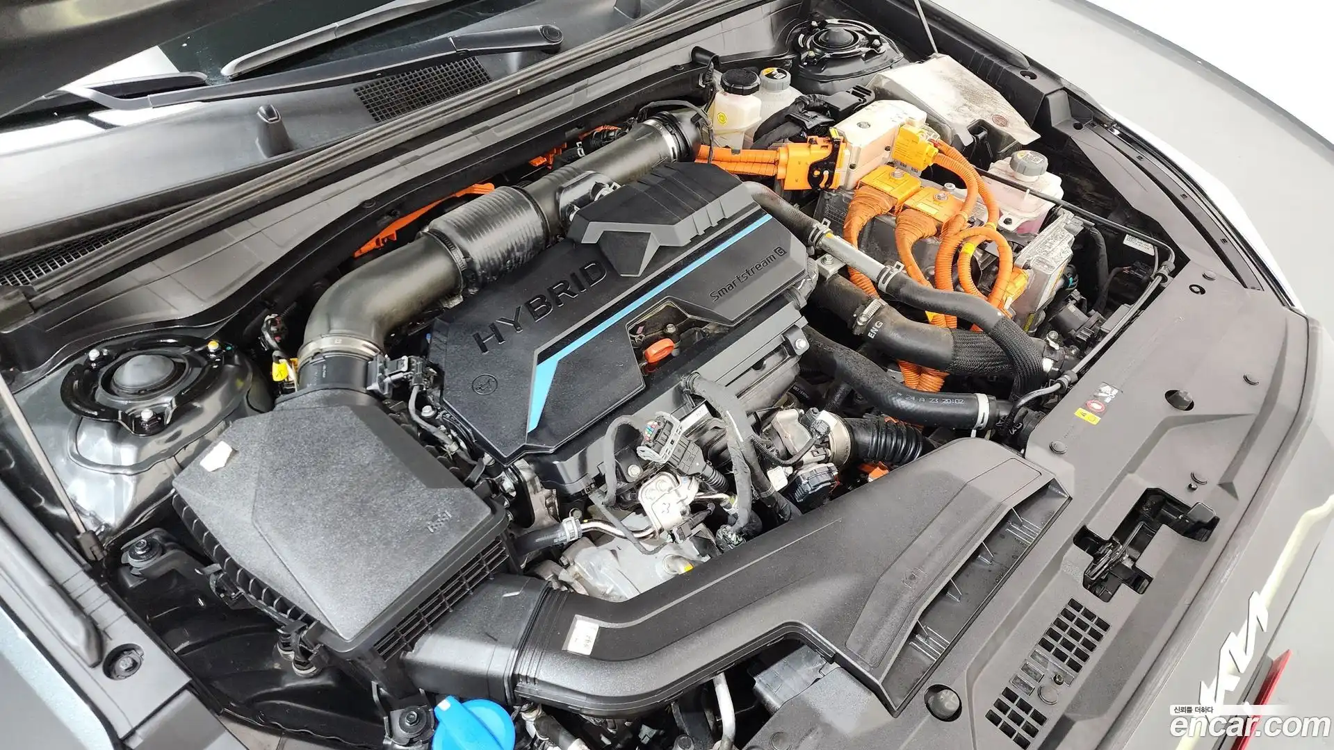 K8 Kia 2024.3-OUTER-006