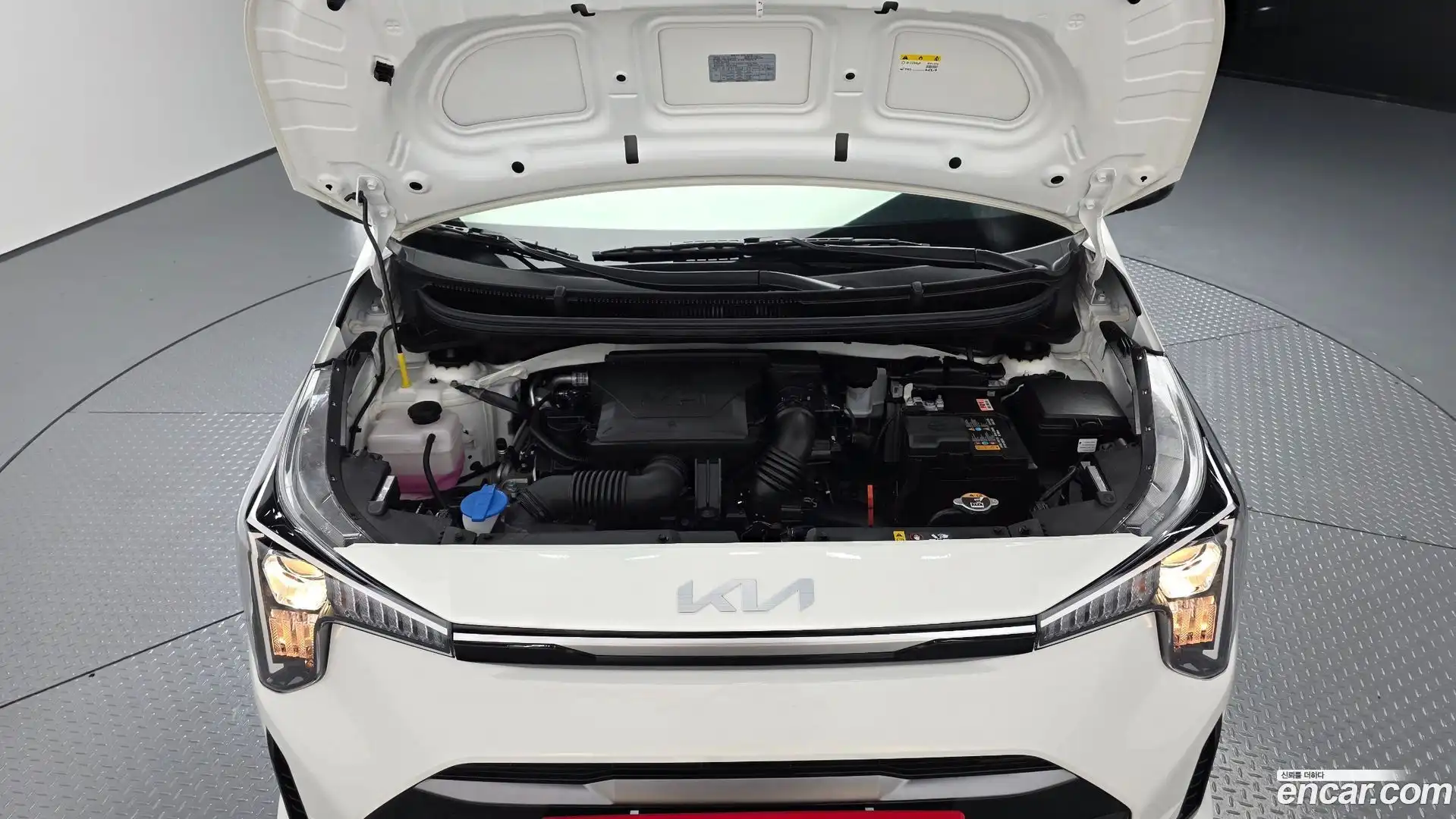 morning Kia 2025.8-OUTER-006