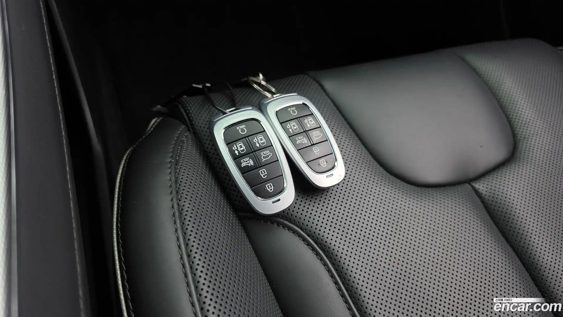 Palisade Hyundai 2024.1-OPTION-022
