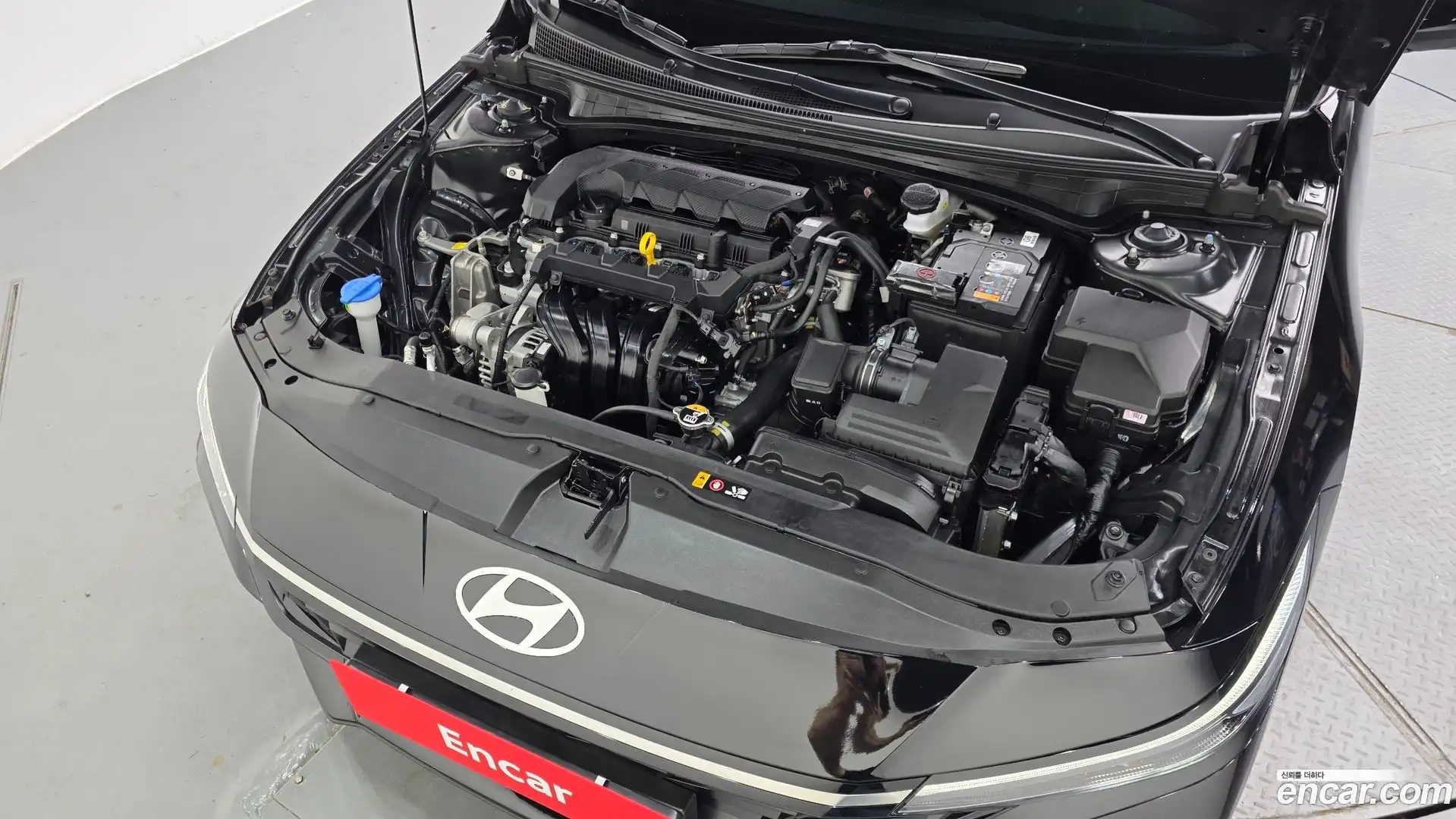 AVANTE Hyundai 2025.8-OUTER-006
